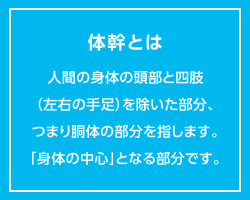 体幹とは