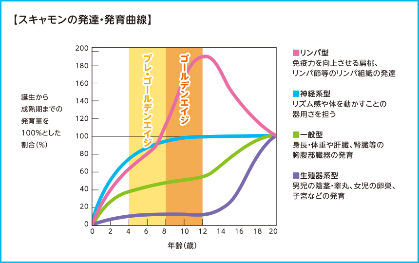 スキャモンの発達・発育曲線